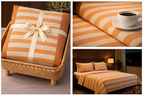 Every Day Cotton Collection